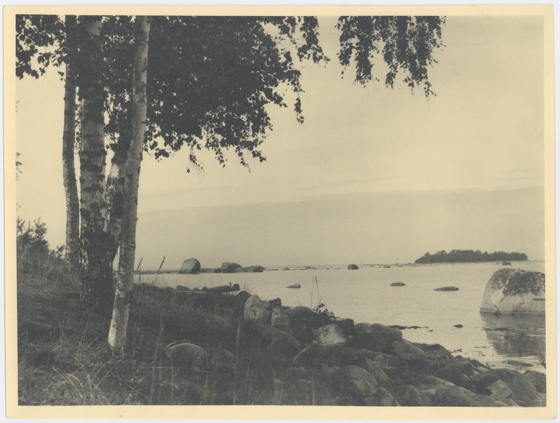 Käsmu laht kivise neemega, taamal Kuradisaar.