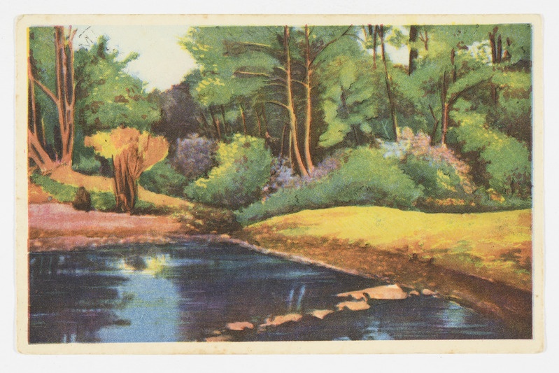 Postkaart metsa ja järvega