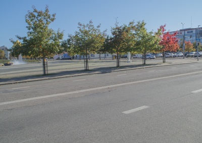 Rakvere Vabatahtliku Tuletõrjeühingu 100. juubel rephoto