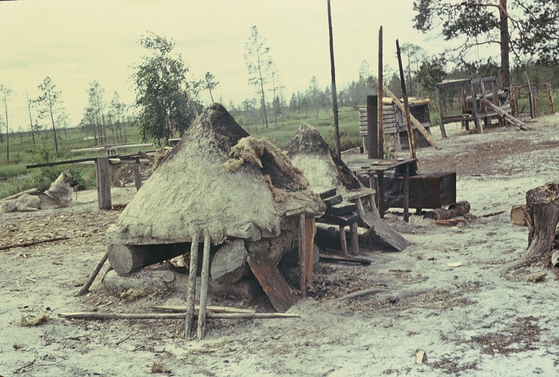Esiplaanil hantide leivahjud. Handi-Mansi autonoomne ringkond 
Berjozovo rajoon Kazõmi külanõukogu Aivošjugani väikeasula.
Foto 1984.