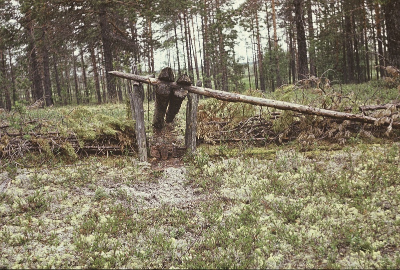 Handi püünis, püütakse rabapüüsid ja metsiseid. 
Handi-Mansi autonoomne ringkond Berjozovo rajoon Kazõmi külanõukogu.
Foto 1984.