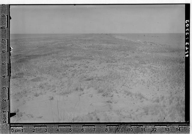 Tütarsaar. Sävy maastik.