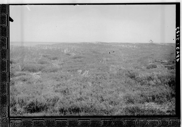 Tütarsaar. Sävy maastik.