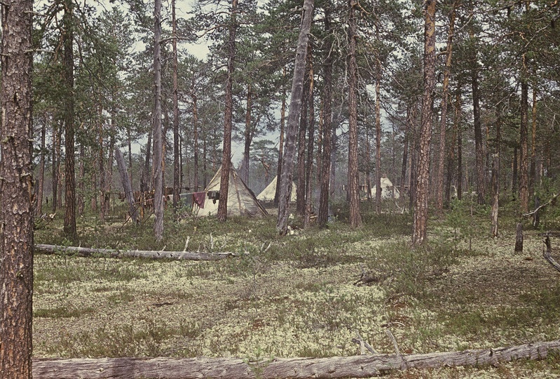 Hantide (põhjapõdrakasvatajad) ajutine suveasula Agani jõe ülemjooksul.