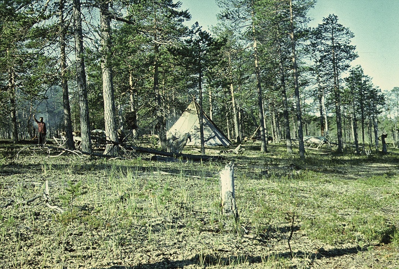 Handi püstkoda metsas. Handi-Mansi rahvusringkond  Nižnevartovski rajoon 
Varjogani külanõukogu põhjapõdrakasvatajate ajutine suveasula Agani jõe ülemjooksul.
Foto  1974.