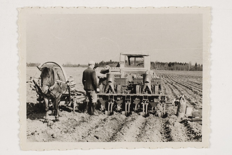 Kartulipanek Kehtna sovhoosis 1966.aasta kevadel.