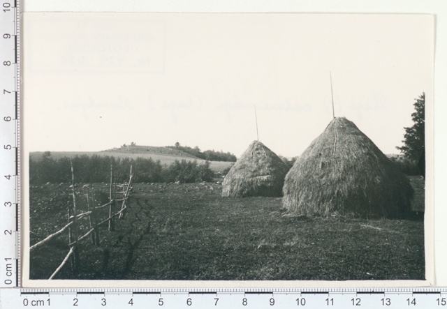 Prigi? kalmemägi (taga) Kambjas, 1921