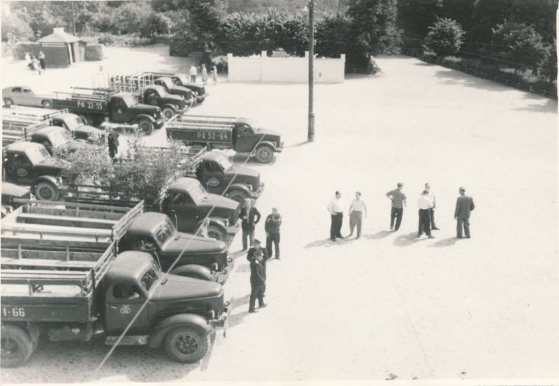 Foto. Masinapark Haapsalu raj. lauljate transpordiks Tallinna XV Üldlaulupeole. 17.07.1960. Fotogr. R. Kalk.