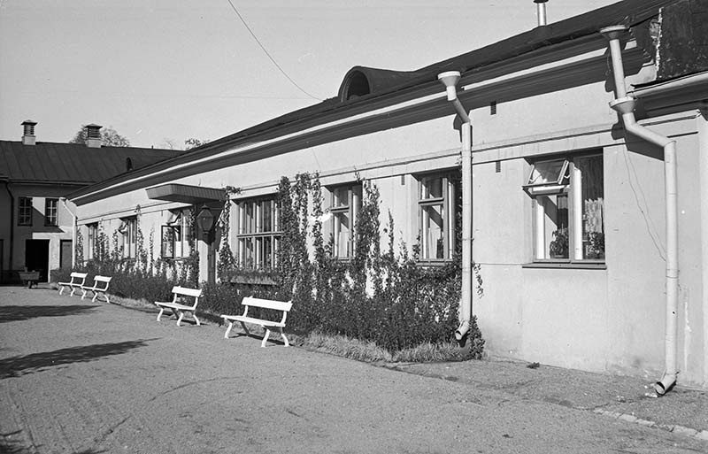 Linnankatu 39, Turku, retkeilymaja pihan puolelta kuvattuna vuonna 1956.