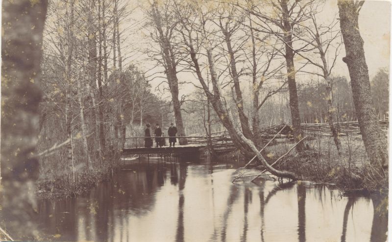Foto. Seltskond jõe sillal. O. Siluti kogu. Albumis.