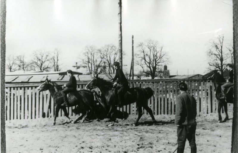 Evald Aavik Tartu hipodroomil ratsasporditreeningul