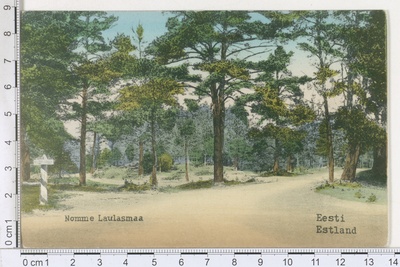 Nõmme Laulasmaa  duplicate photo