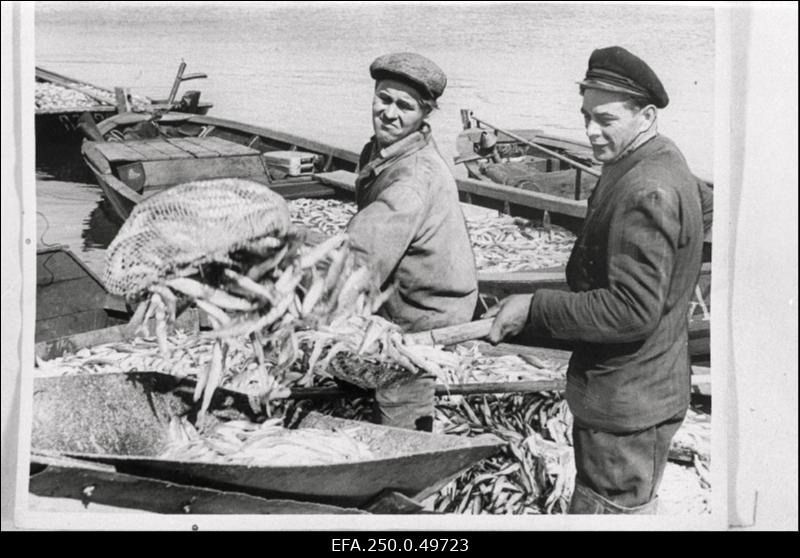 Pärnu Jahta kalurikolhoosi 14. brigaadi liikmed (vasakult) Oskar Maripuu ja Evald Merila Pärnu Kalakombinaadis tinte konveierile tõstmas.