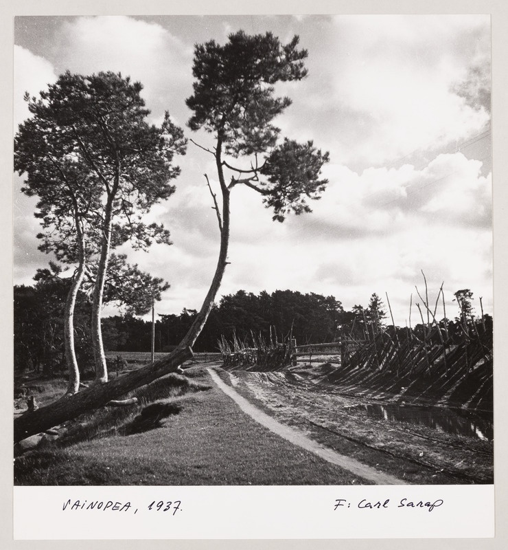 Fotoseeria "50 aastat hiljem"