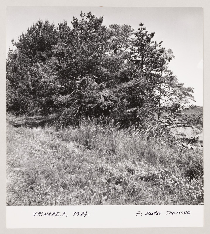 Fotoseeria "50 aastat hiljem"