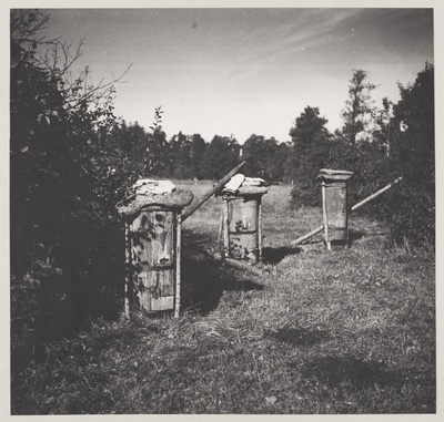 Fotoseeria "55 aastat" Katsetused  duplicate photo