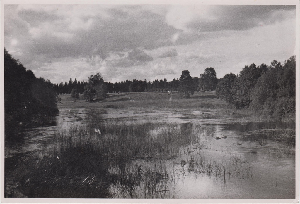 Vaade Pärnu jõele Kurgjal. Pildistatud veski tagant üle jõe kalmistu poole.