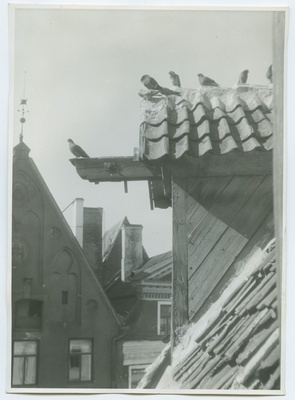 Tallinn, Pakkmaja, katuse detail tõsteplokiga.  similar photo