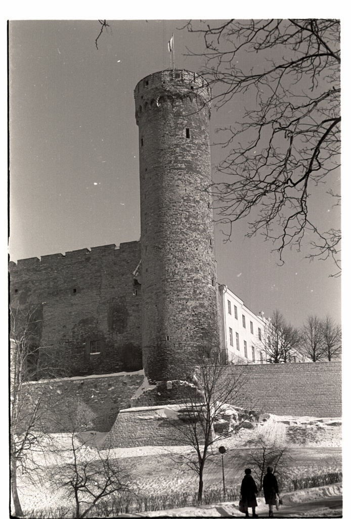 Pikk Hermann