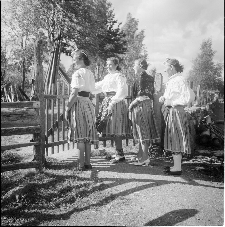 Grupipilt: naised Muhu rahvariietes