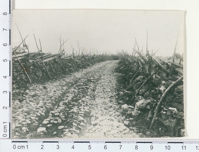 Tänav Kohatu külas