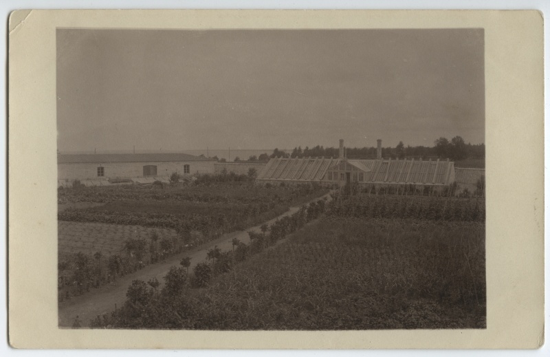 Maarjamägi (Marienberg), Orlovi (krahv Anatoli Vladimirovitš Orlov-Davõdov) lossi park. Maarjamäe lossi köögiviljaaed ja kasvuhoone, ca 1930. a. Tallinn/ Reval.