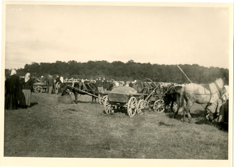 Laat Põltsamaal 1910.a. septembris.