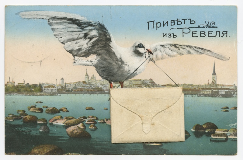 Postkaart Tallinna vaadete voldikuga