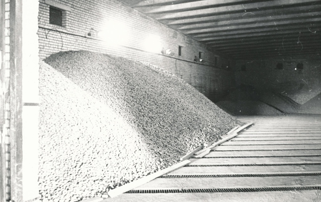 Foto.Väimela NST eksperimentaal- kartulihoidla 1981.a.