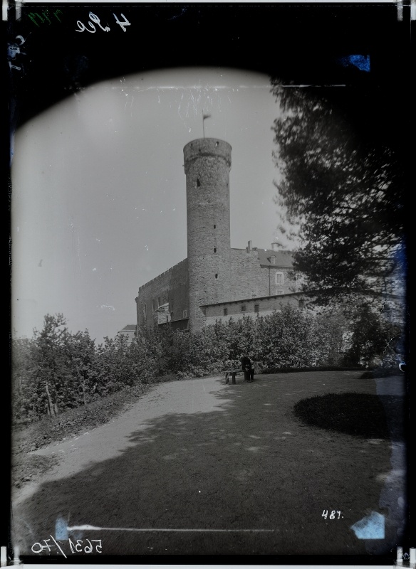 Pikk Hermann