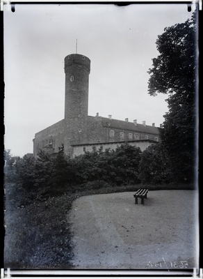 Pikk Hermann  duplicate photo