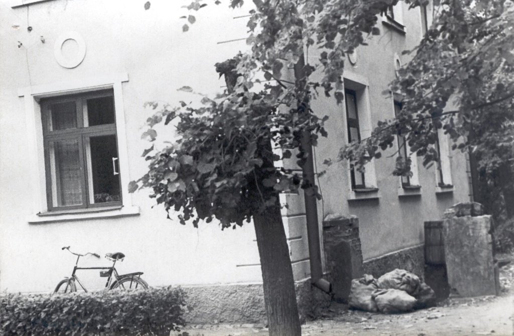 Foto. Väimela mõisa jääkelder.