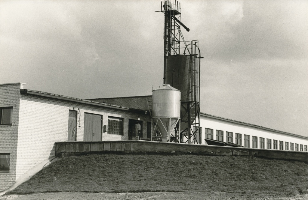Foto. Vastseliina sovhoosi eksperimentaalne karjalaut 400 lüpsilehmale 1978.a. mais