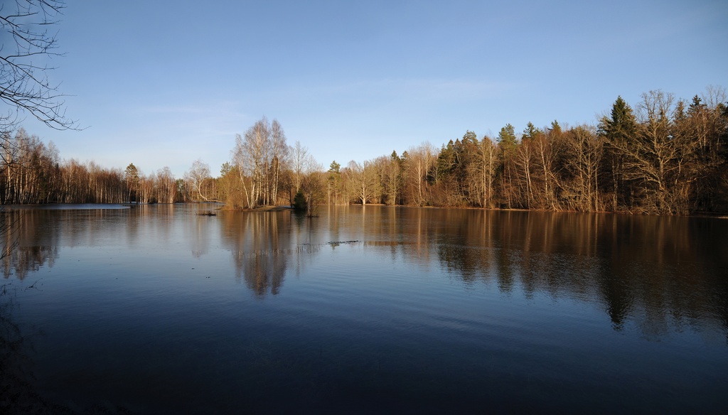 Märjamaa Tammiäärne järta