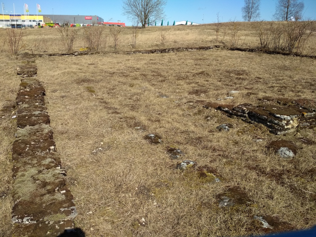 Lehmja asulakoht 4 - Lehmja asulakoha hoone kontuuride rekonstruktsioon (Pildikülas)