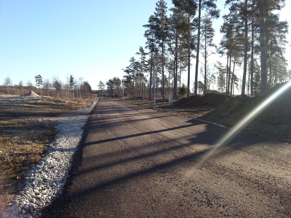 Uuesalu, Metssea tee