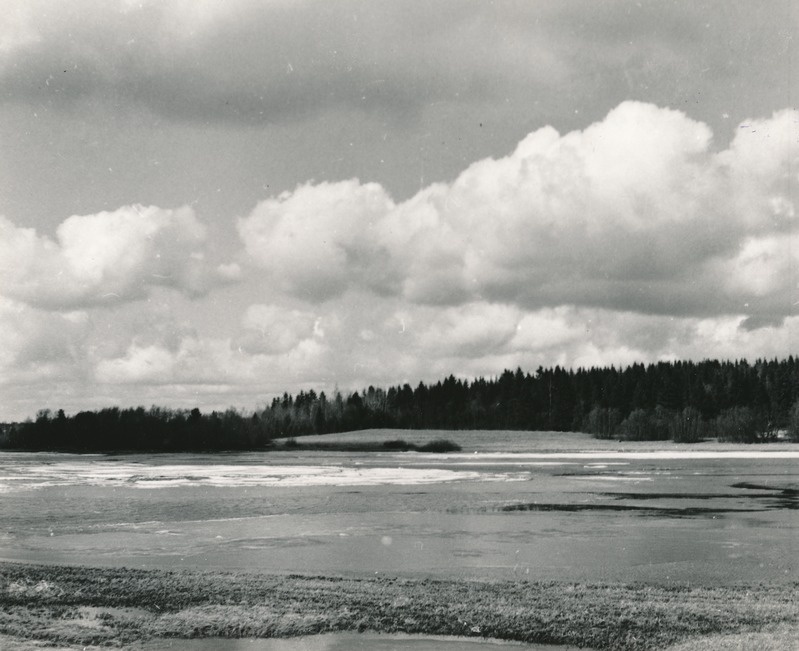 Saksi järv