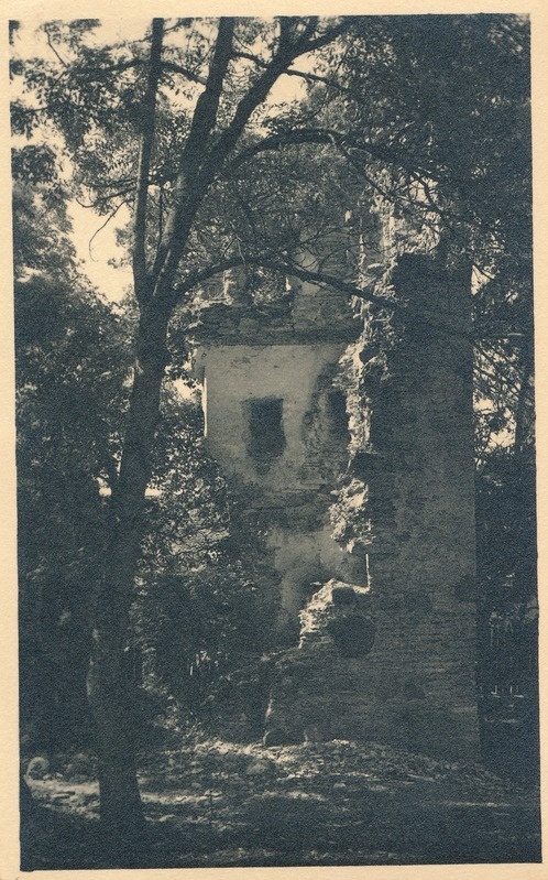 Edise mõisa varemed