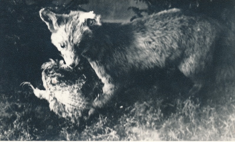 Rebase topis loodusteaduse osakonnas