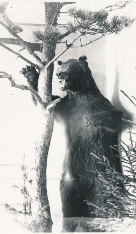 Karu topis loodusteaduse osakonnas