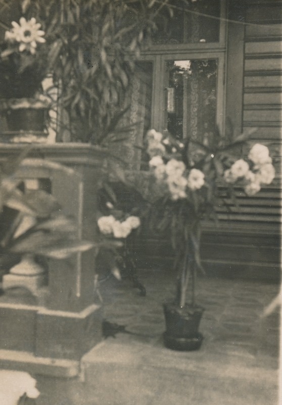 Rakvere, Tõusu 2 Adoffi maja