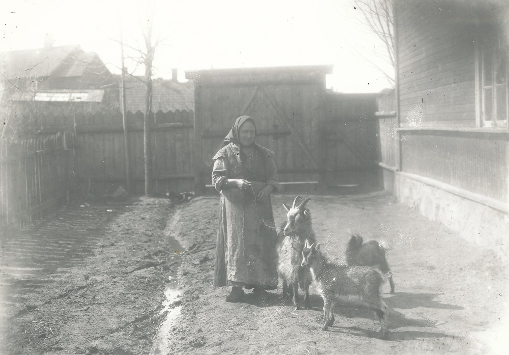Foto. Mikkelsaar, Liisa kitsedega Antslas 1900.aastate alul.
