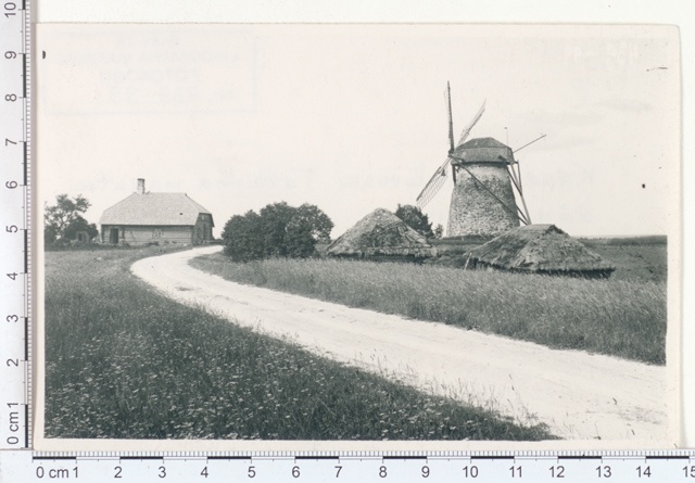 Kärde tuuleveski Tallinna (Piibe) mnt. ääres, Laiuse khk., 1921