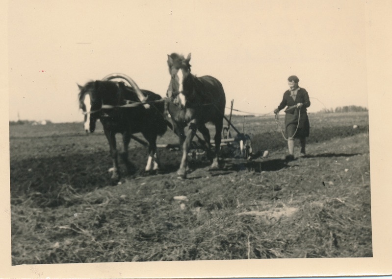 Vao valla Edu kolhoosi kolhoosnik Salme Heitmets kündmas