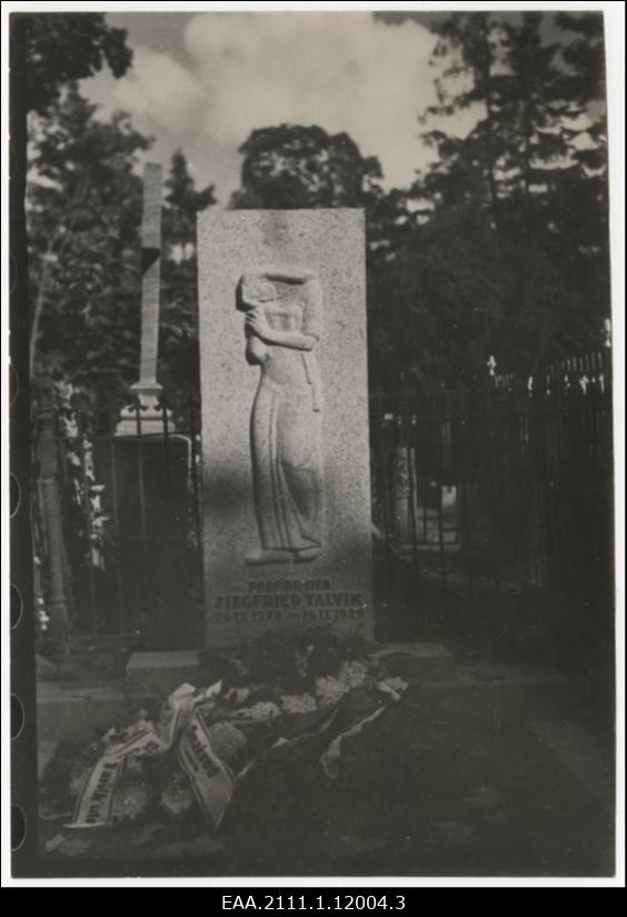 Siegfried Ferdinand Talviku, eesti arstiteadlasele püstitatud mälestussammas, foto