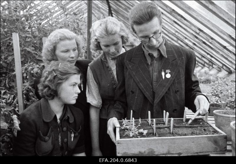 Räpina Aiandustehnikumi 4. kursuse õpilased üleliidulisest põllumajandusnäitusest osavõtjad (paremalt) E. Lilienthal, V. Liiske, A. Litosk ja M. Sirna kasvuhoones.