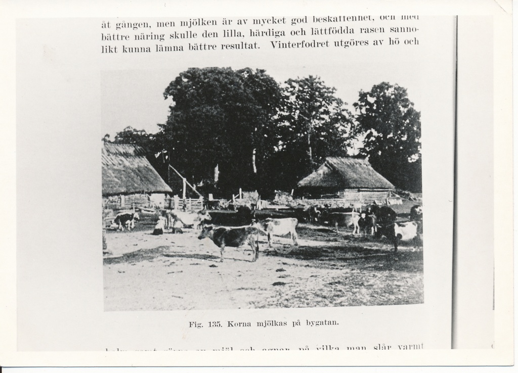 "RUNÖ", Ernst Klein