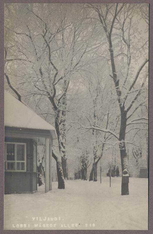 foto albumis, Viljandi, Kiriku allee (Tasuja pst), u 1920, foto J. Riet