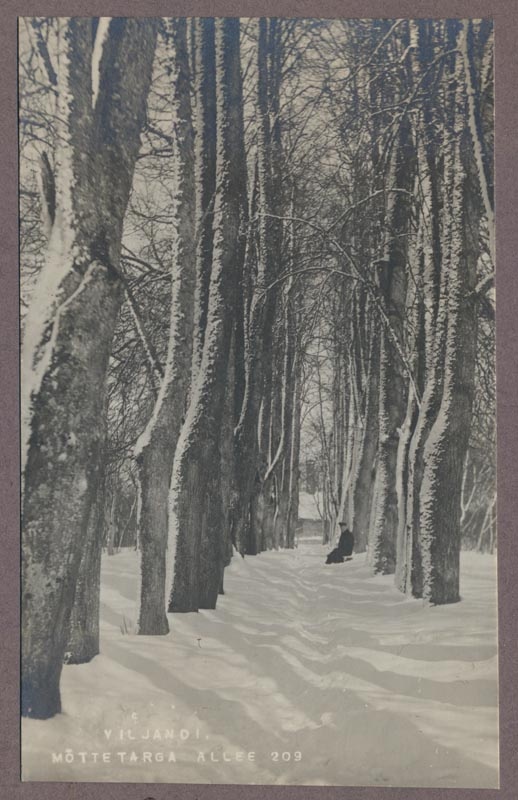 foto albumis, Viljandi, Mõttetarga (Filosoofia) allee, u 1910, foto J. Riet