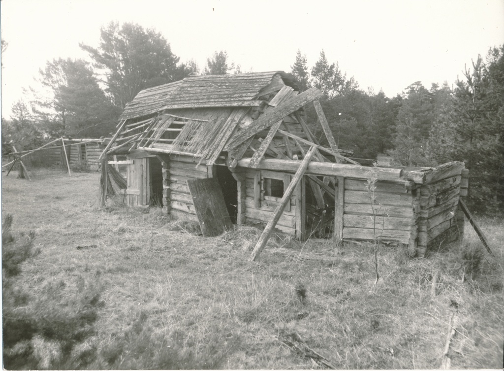 Võrgukuurid Kuunsis